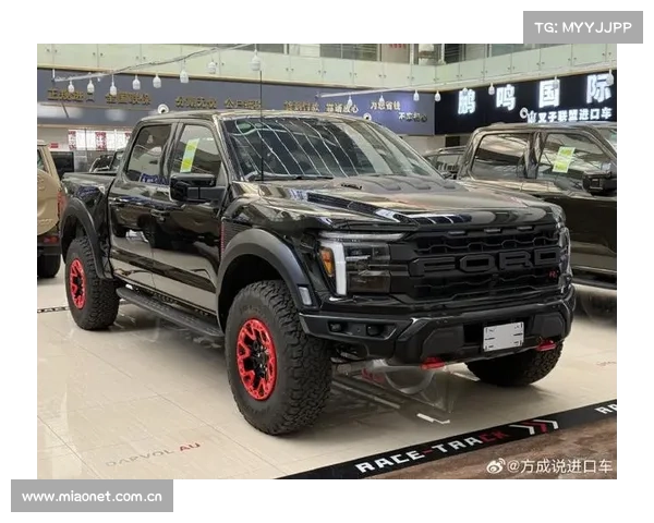 买猛禽后的烦恼知多少?给准备买猛禽的建议 买猛禽后的烦恼知多少?给准备买猛禽的建议